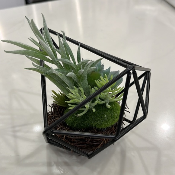 Decorative Faux Succulent in a Nest - Picture 2 of 4